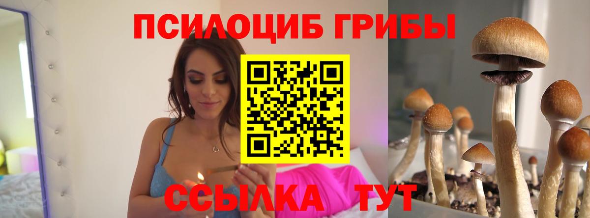 цена наркотик  Галлюциногенные грибы MAGIC MUSHROOMS  Вход с VPN  Элиста 