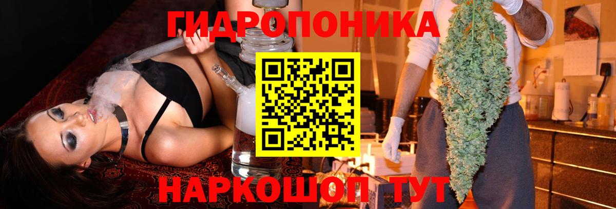 МАРИХУАНА семена  Шишки марихуана MAZAR  Марихуана сатива  Вход с VPN  Элиста 
